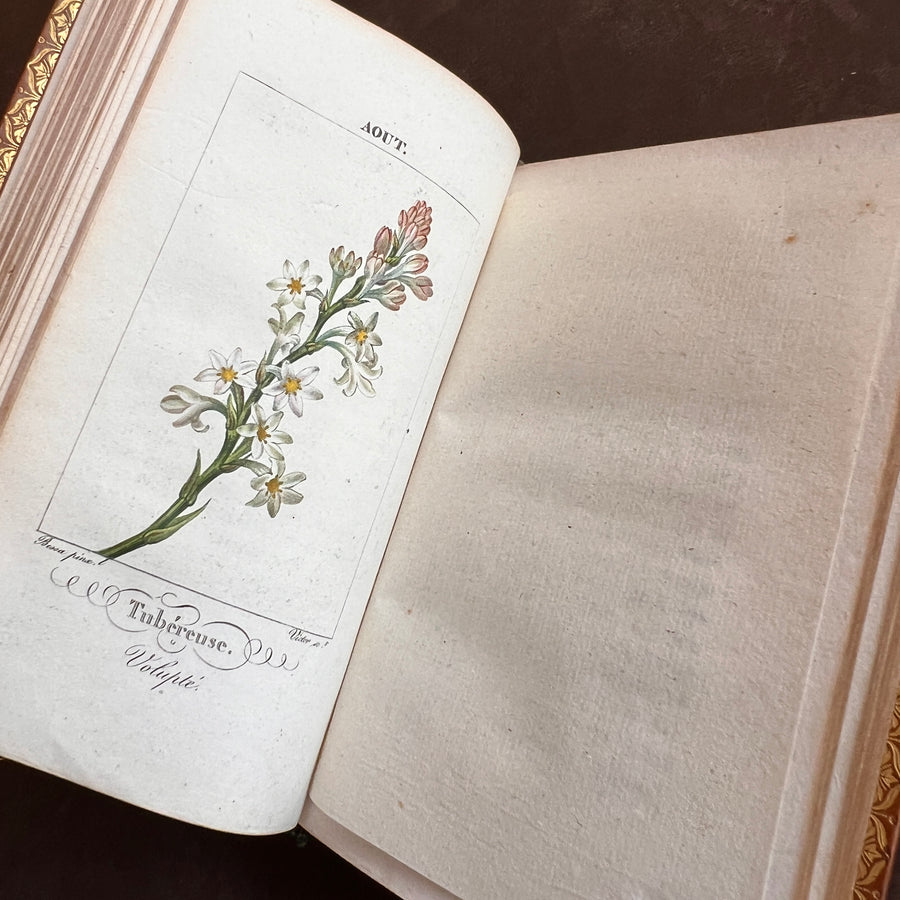 c.1829 - Le Langage Des Fleurs