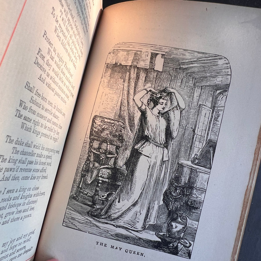 The Poetical Works of Dryden (c.1880s) | Illustrated