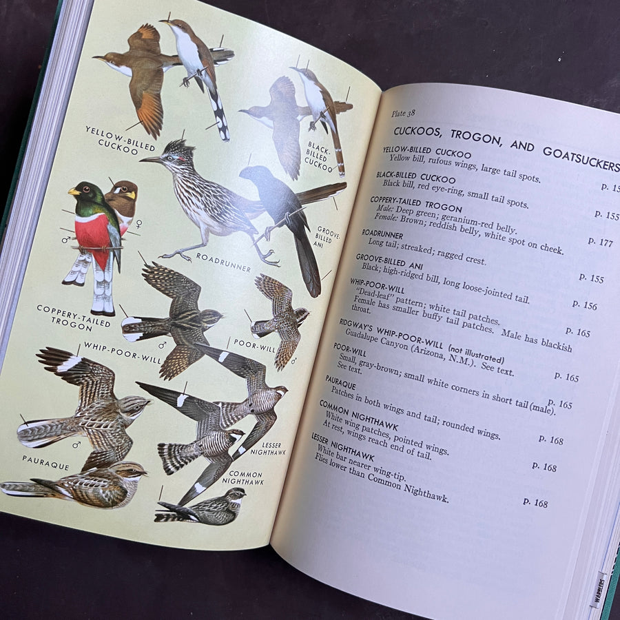 1961 - A Field Guide to Western Birds