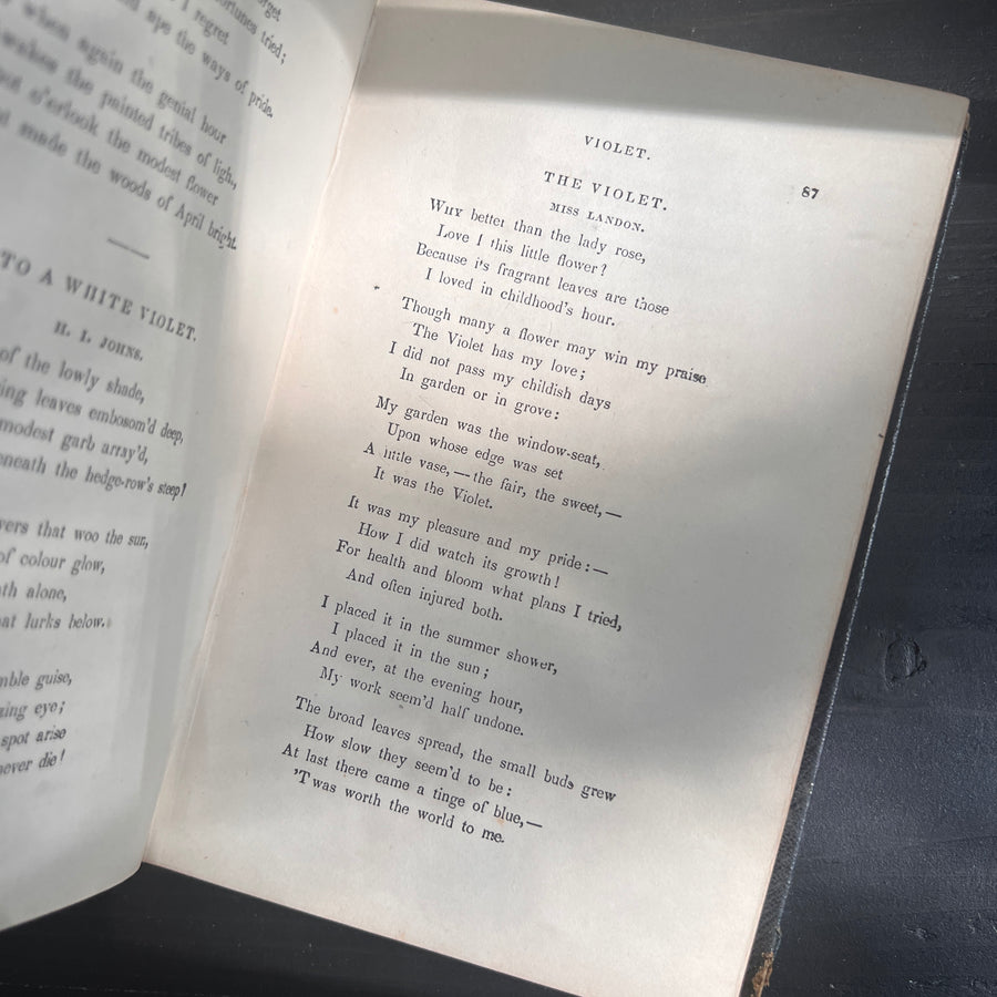 The Lady’s Book of Flowers and Poetry | 1859