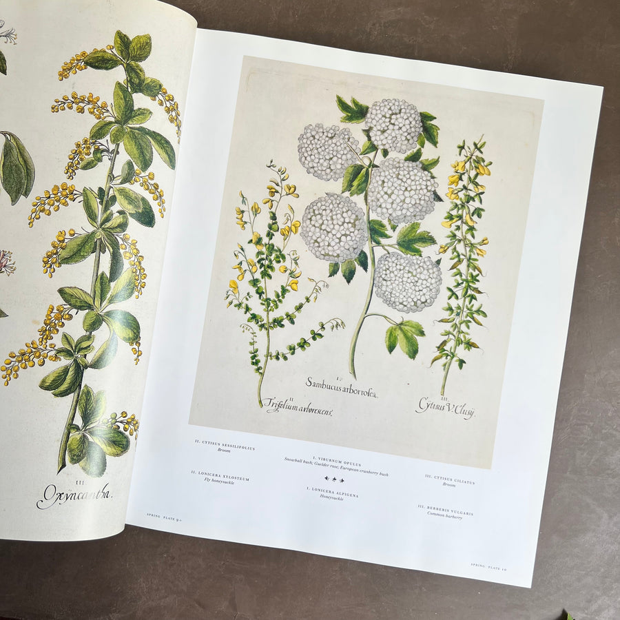 Botanical Pattern Book 2007 - The Book of Botanical Prints; The Complete Plates – Honey Bee Mill