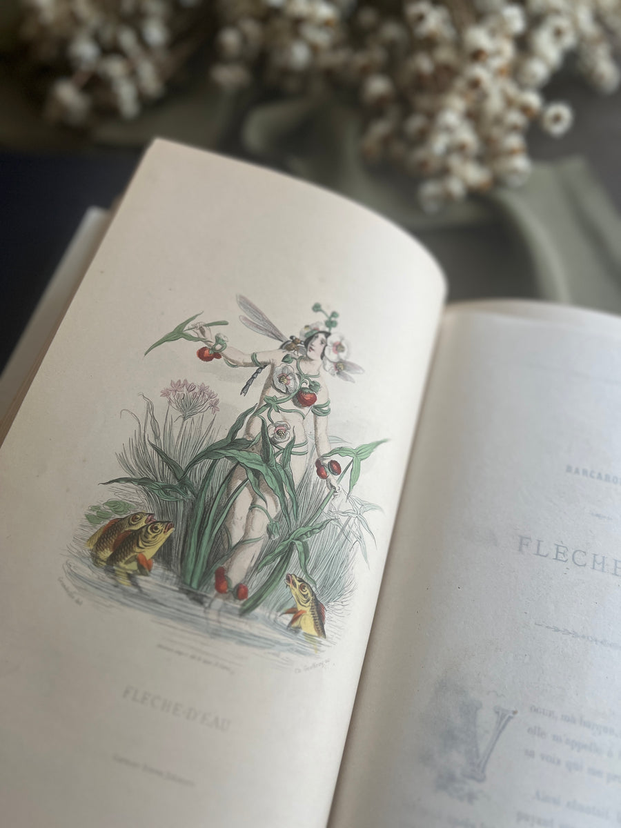1867 Les Fleurs Animées – Grandville’s Botanical Anthropomorphism Masterpiece l 2-Volumes