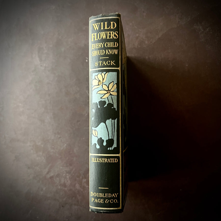 1909 - Wild Flowers Every Child Should Know, First Edition