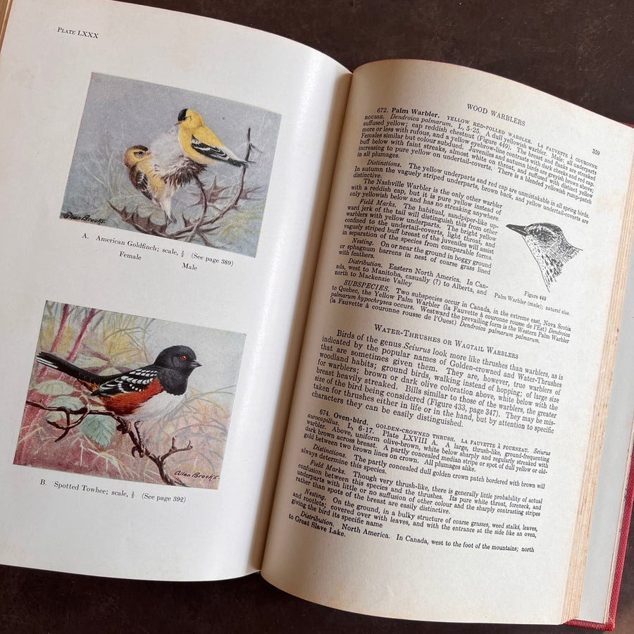 Birds of Canada by P.A. Taverner (1949 Revised Edition)