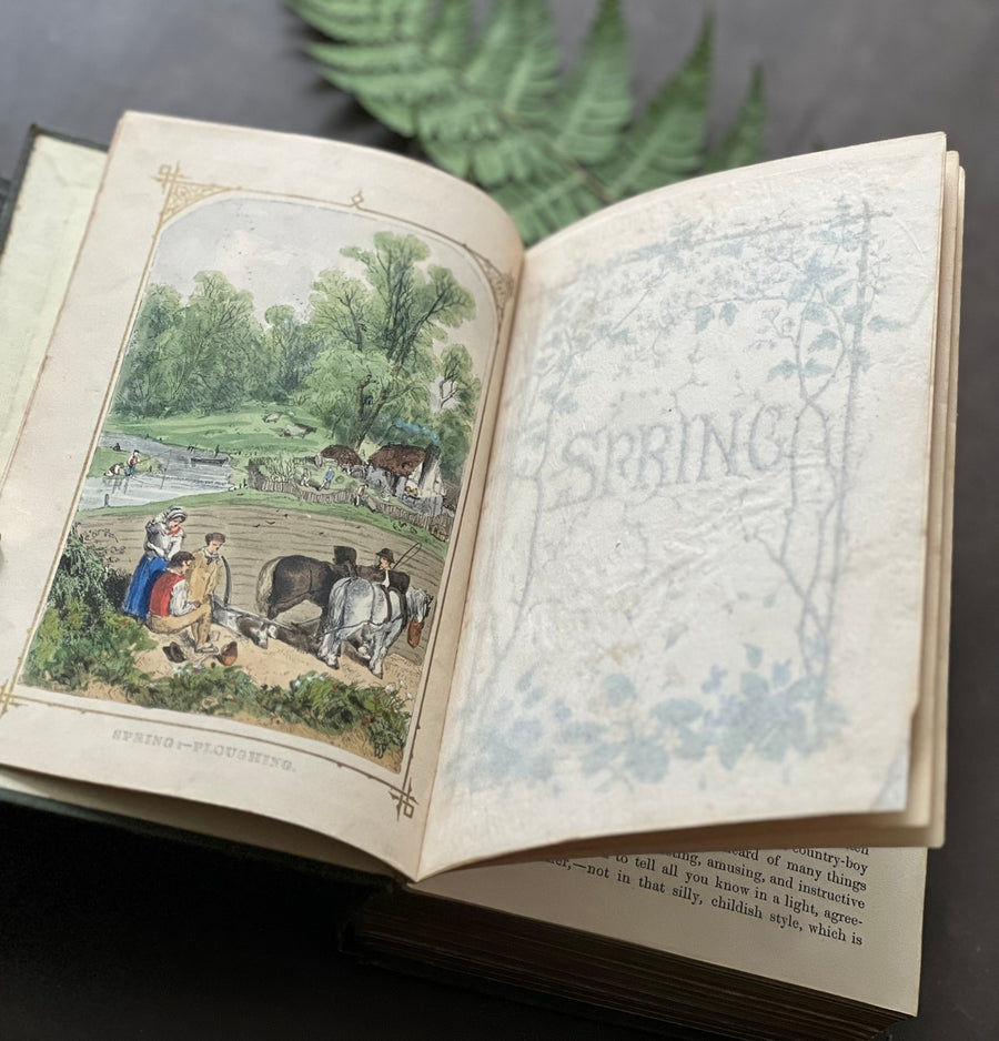 c.1859 - The Country Year Book: Descriptive of the Seasons, Rural Scenes and Rustic Amusements; Birds, Insects, and Quadrupeds