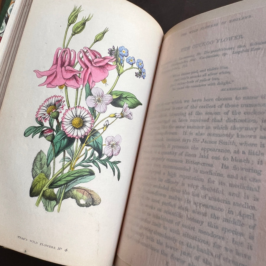 The Wild Flowers of England (1859) | With Hand-Painted Plates