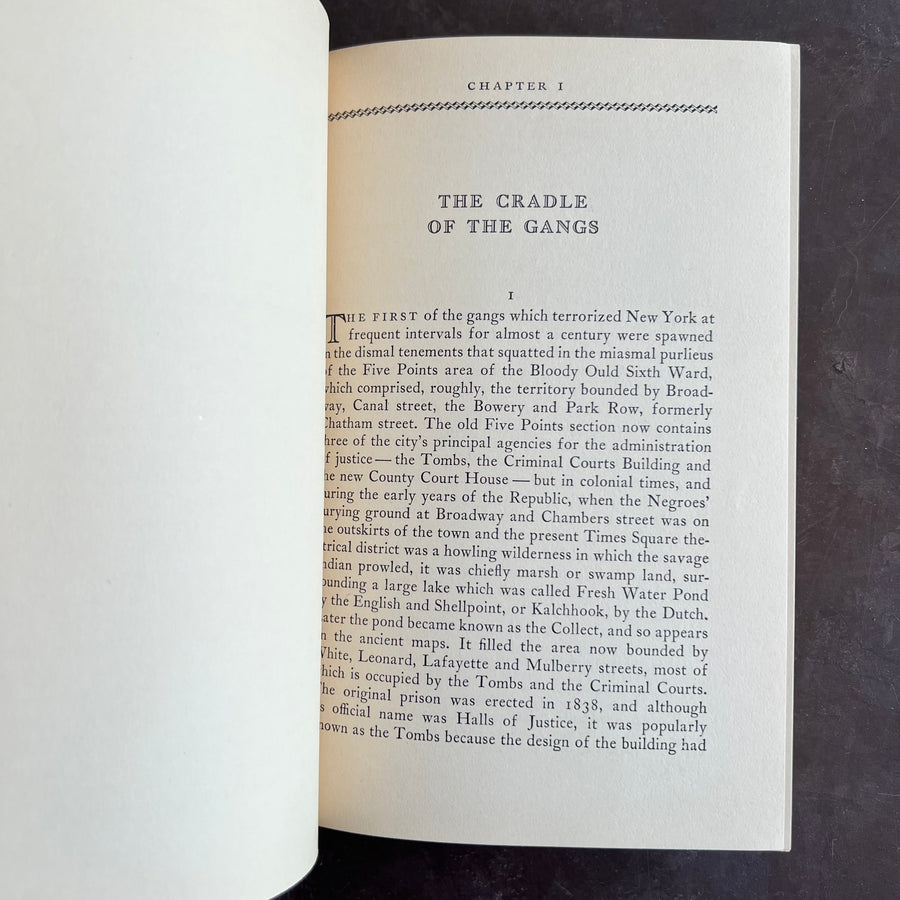 1928 - The Gangs of New York; An Informal History of the Underworld