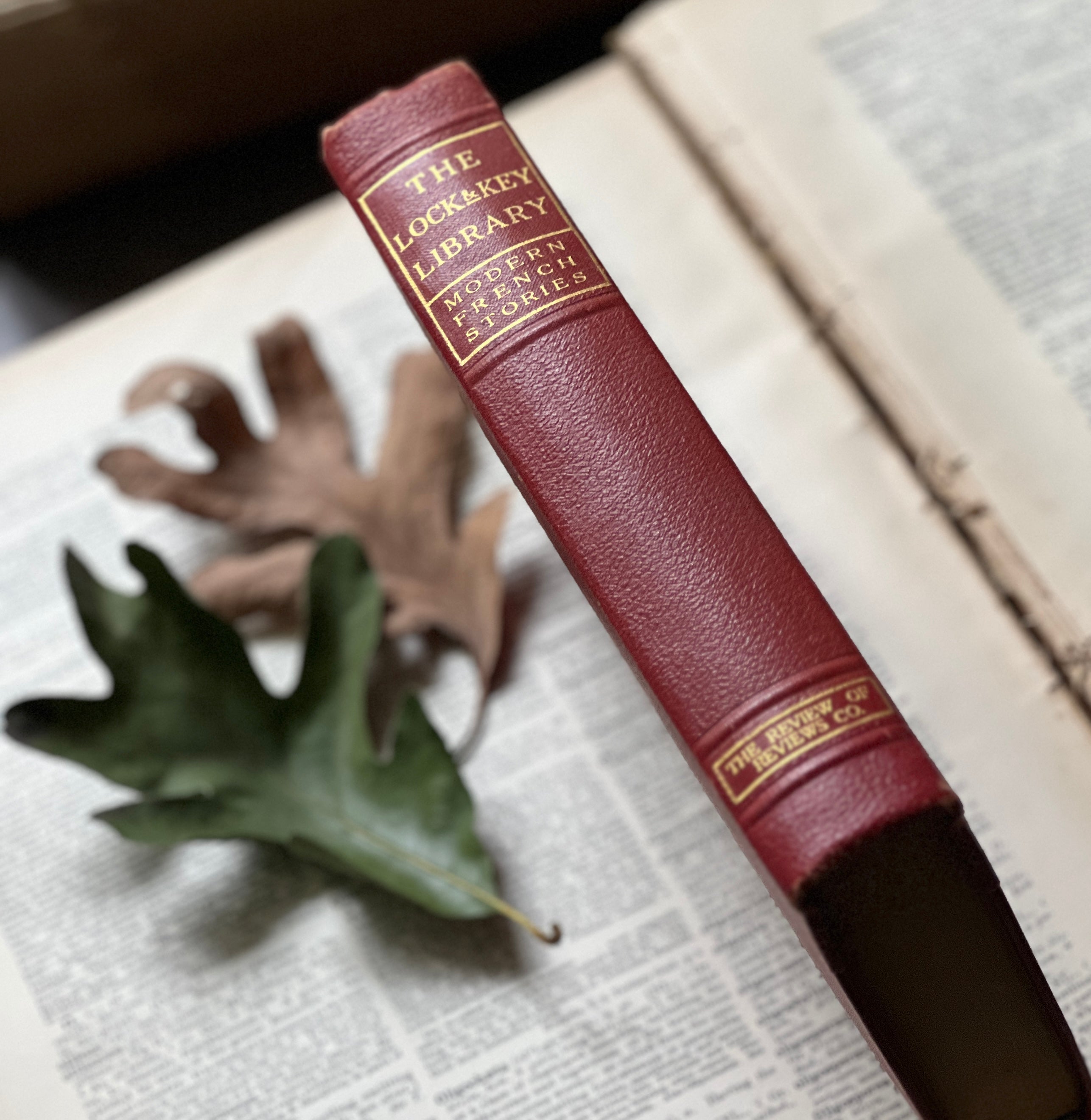 French | Cartonnage – Tagged 