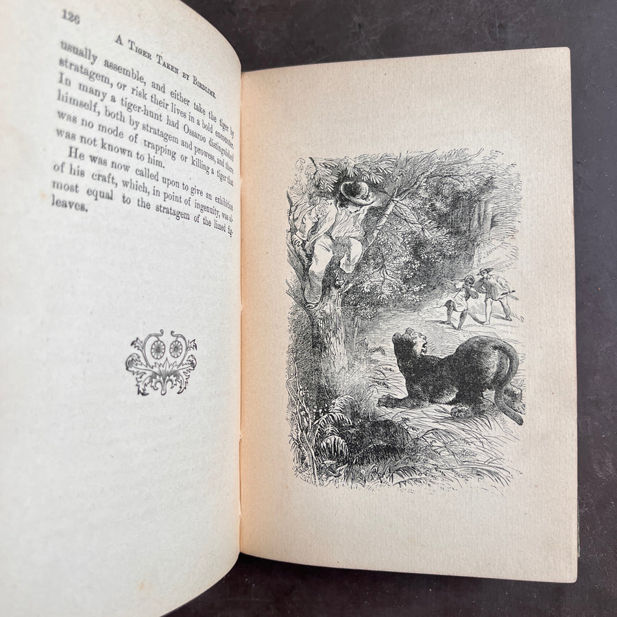 1889 - Stories About Animals