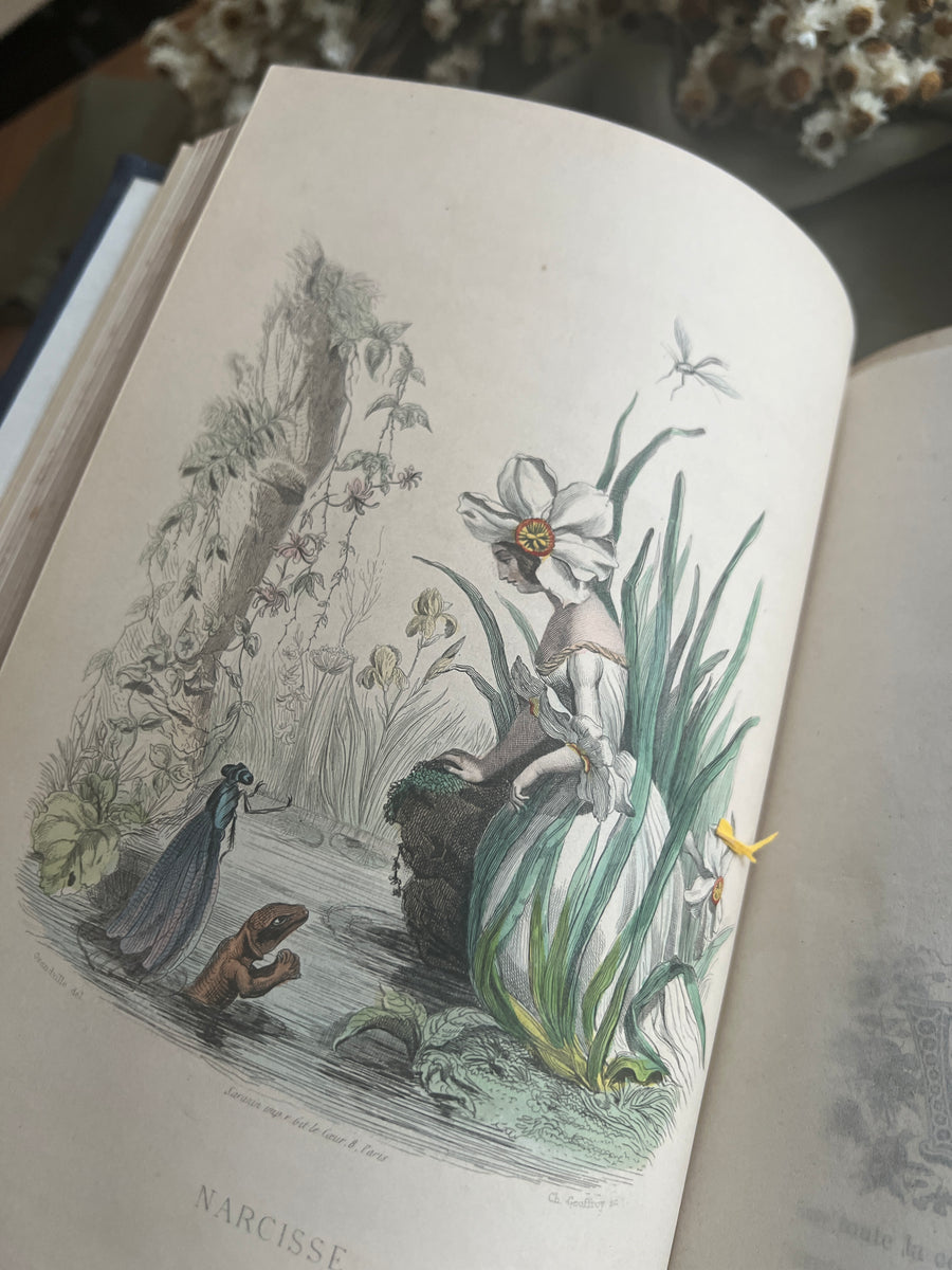1867 Les Fleurs Animées – Grandville’s Botanical Anthropomorphism Masterpiece l 2-Volumes