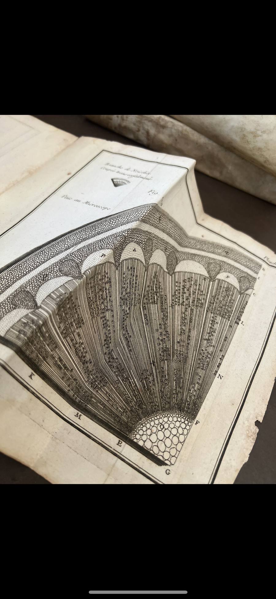 1756 Grammaire des Sciences Philosophiques — Vellum-Bound Scientific Encyclopaedia with Newtonian & Copernican Fold-Out Plates