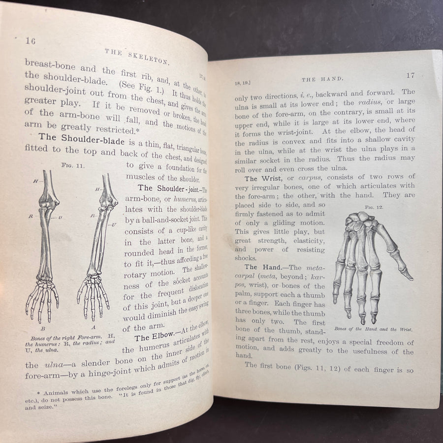 1888 - Hygienic Physiology; WIth Special Reference To The Use of Alcoholic Drinks and Narcotics