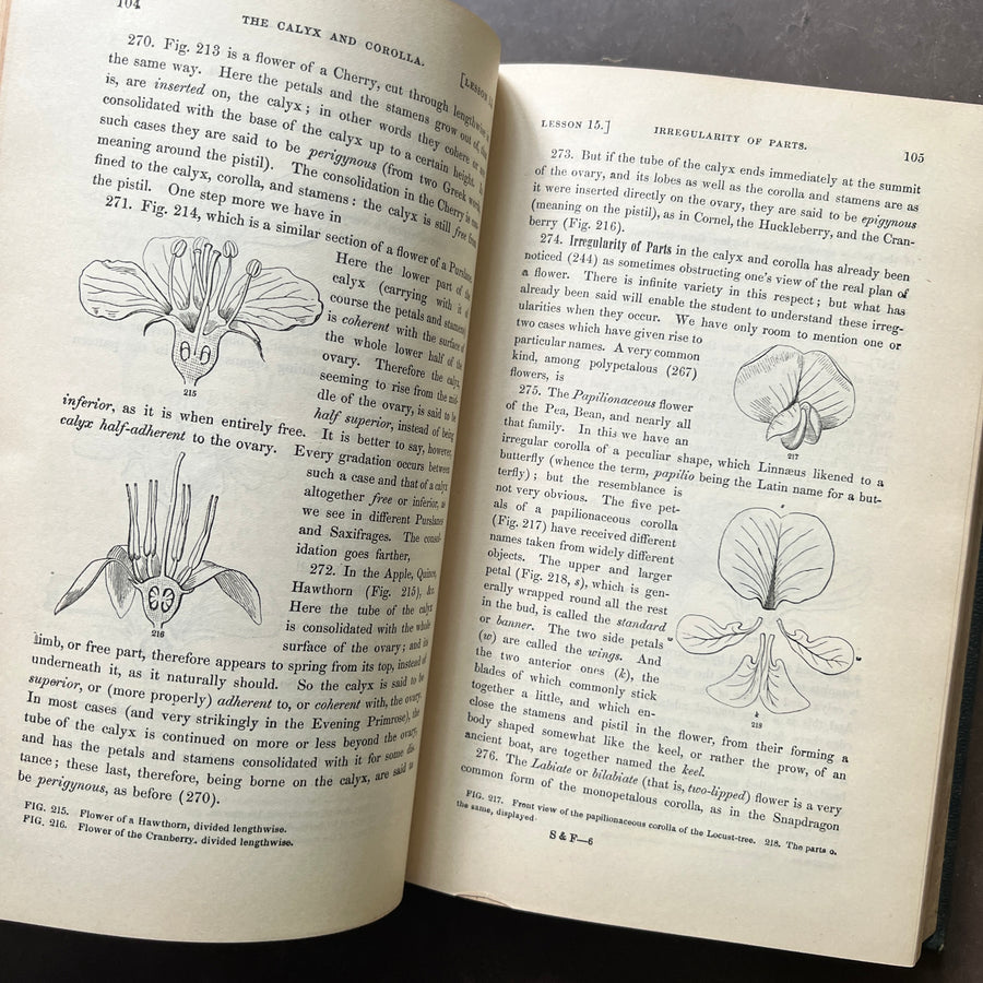 1868 - Gray’s School and Field of Botany and Gray’s Lessons in Botany and Vegetable Physiology