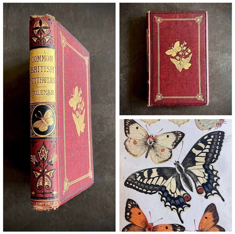British Butterflies; Figures and Descriptions of Every Native Species by W.S. Coleman (c.1870s-1880s)
