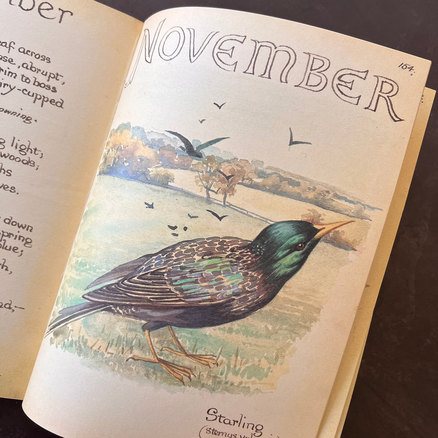 The Country Diary of An Edwardian Lady by Edith Holden, (1979) | Illustrated Nature Diary