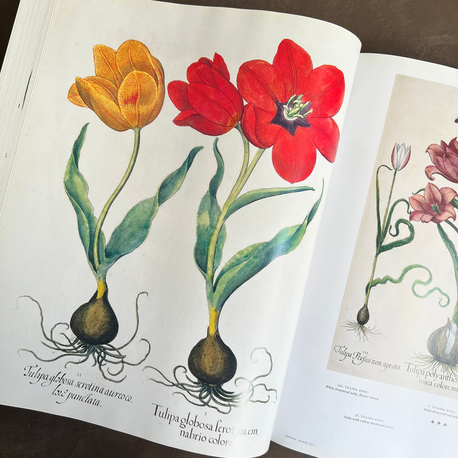 Botanical Pattern Book 2007 - The Book of Botanical Prints; The Complete Plates – Honey Bee Mill