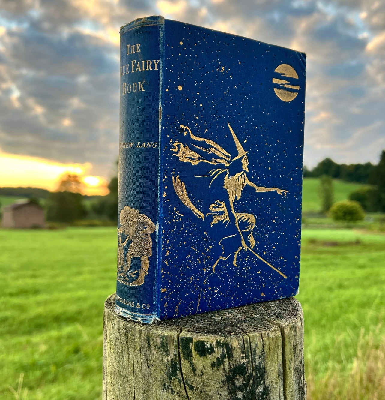 The Blue Fairy Book by Andrew Lang (1893) | Fairy Tales