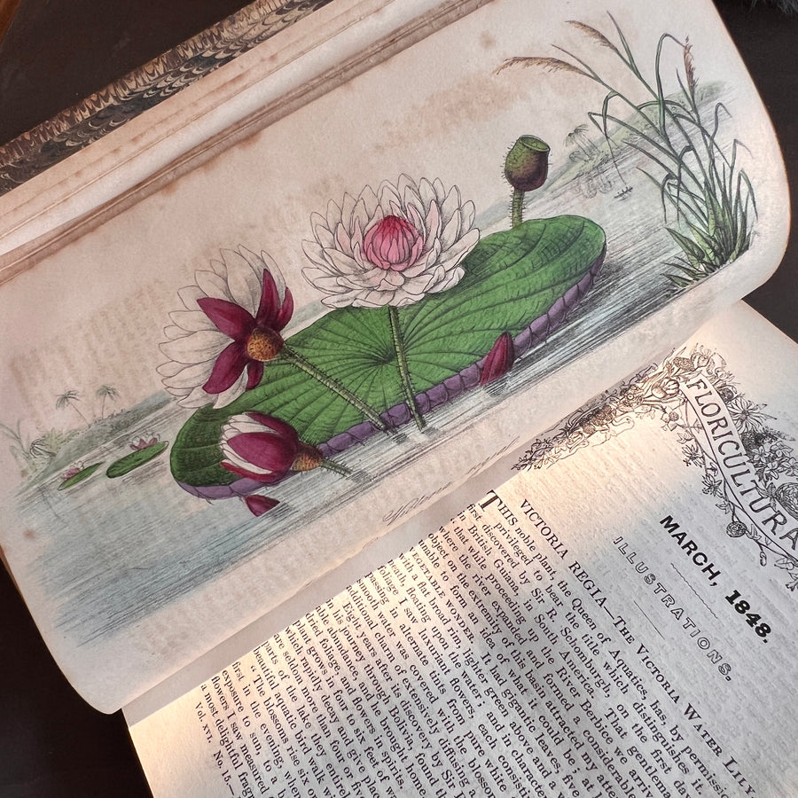 Floricultural Cabinet Book and Florist’s Magazine (1848) | With Hand-Colored Plates
