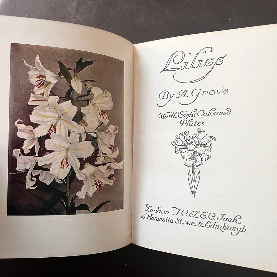 c.1916 - Lilies; Present-Day Gardening