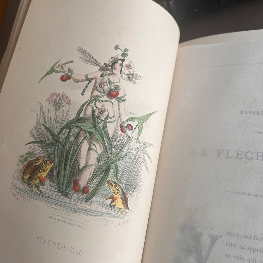 1867 Les Fleurs Animées – Grandville’s Botanical Anthropomorphism Masterpiece l 2-Volumes