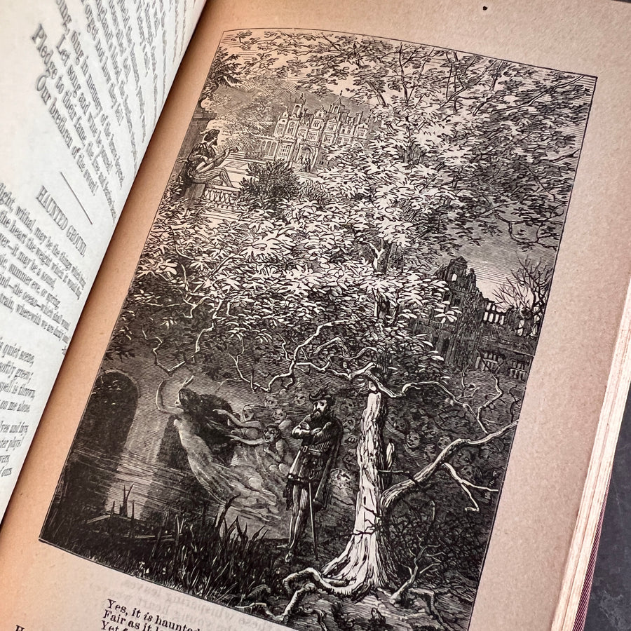 The Poetical Works of Mrs. Felicia Hemans (c.1880)