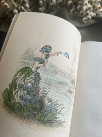 1867 Les Fleurs Animées – Grandville’s Botanical Anthropomorphism Masterpiece l 2-Volumes