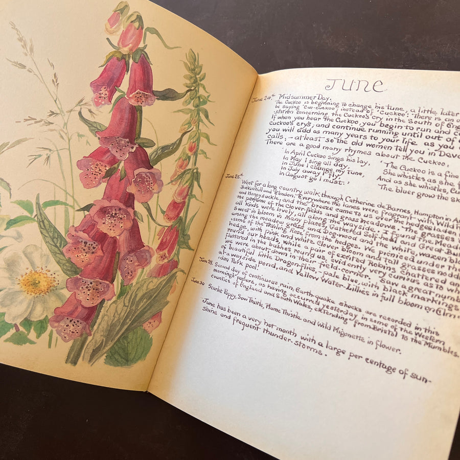 The Country Diary of An Edwardian Lady by Edith Holden, (1979) | Illustrated Nature Diary