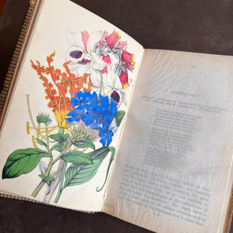 c.1853 - Flowers From Foreign Lands; Their History and Botany