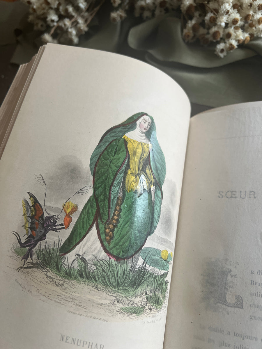1867 Les Fleurs Animées – Grandville’s Botanical Anthropomorphism Masterpiece l 2-Volumes