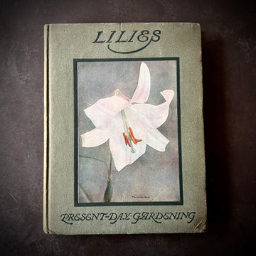 c.1916 - Lilies; Present-Day Gardening