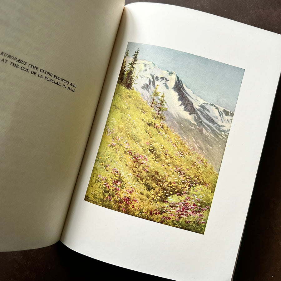 1910 - Alpine Flowers and Rock Gardens