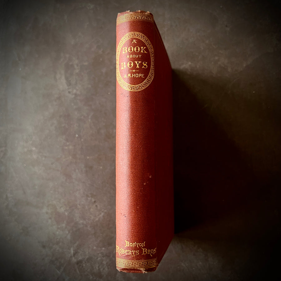 1869 - A Book About Boys