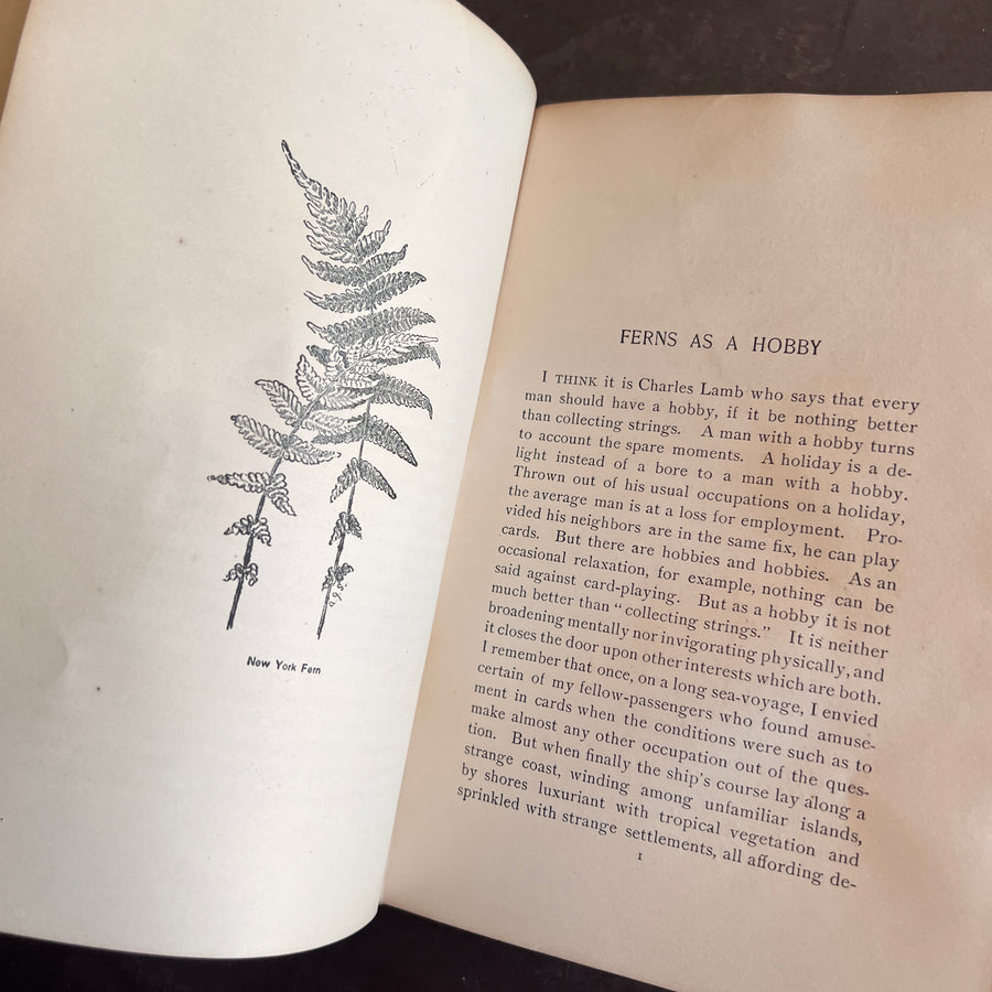 How To Know The Ferns: A Guide to the Names, Haunts, and Habits of Our Common Ferns by Frances Theodora Parsons | Illustrated | 1899
