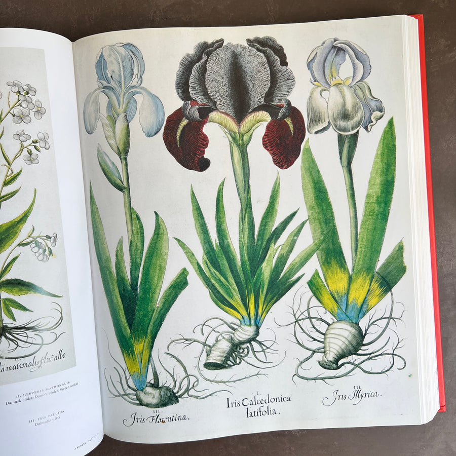 Botanical Pattern Book 2007 - The Book of Botanical Prints; The Complete Plates – Honey Bee Mill