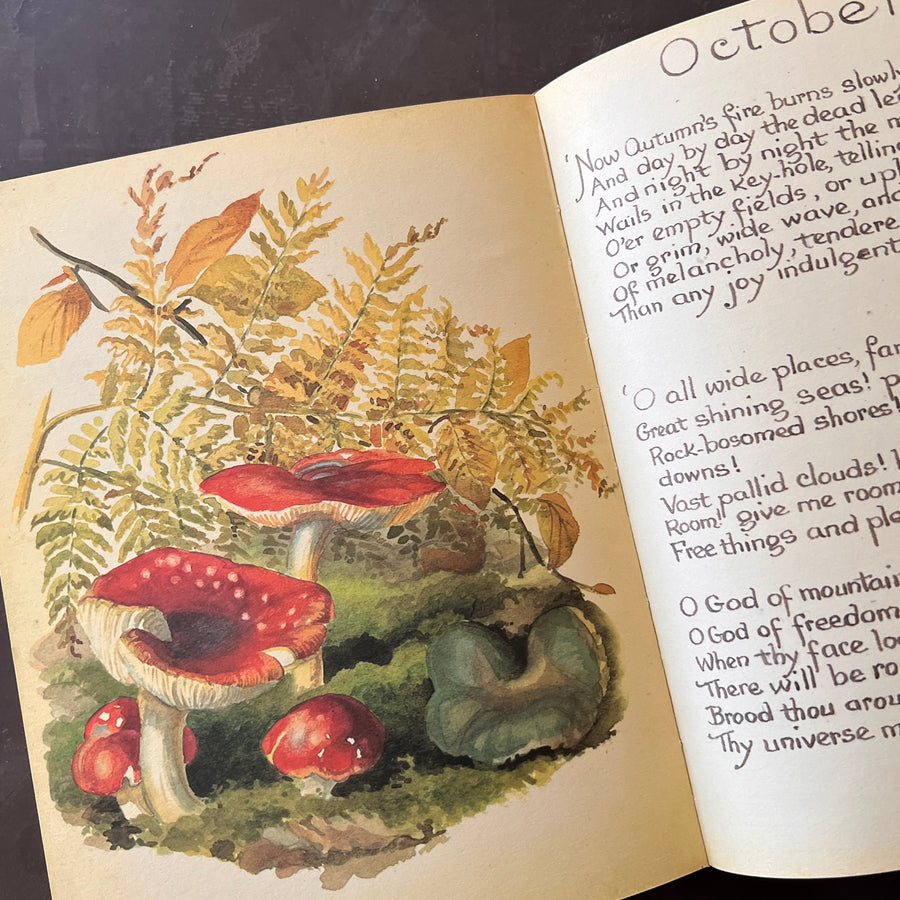 The Country Diary of An Edwardian Lady by Edith Holden, (1979) | Illustrated Nature Diary