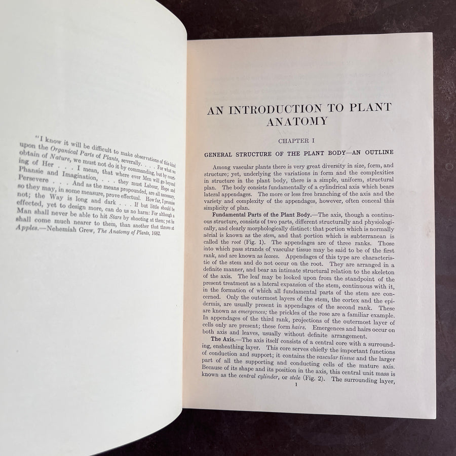 1925 - An Introduction to Plant Anatomy