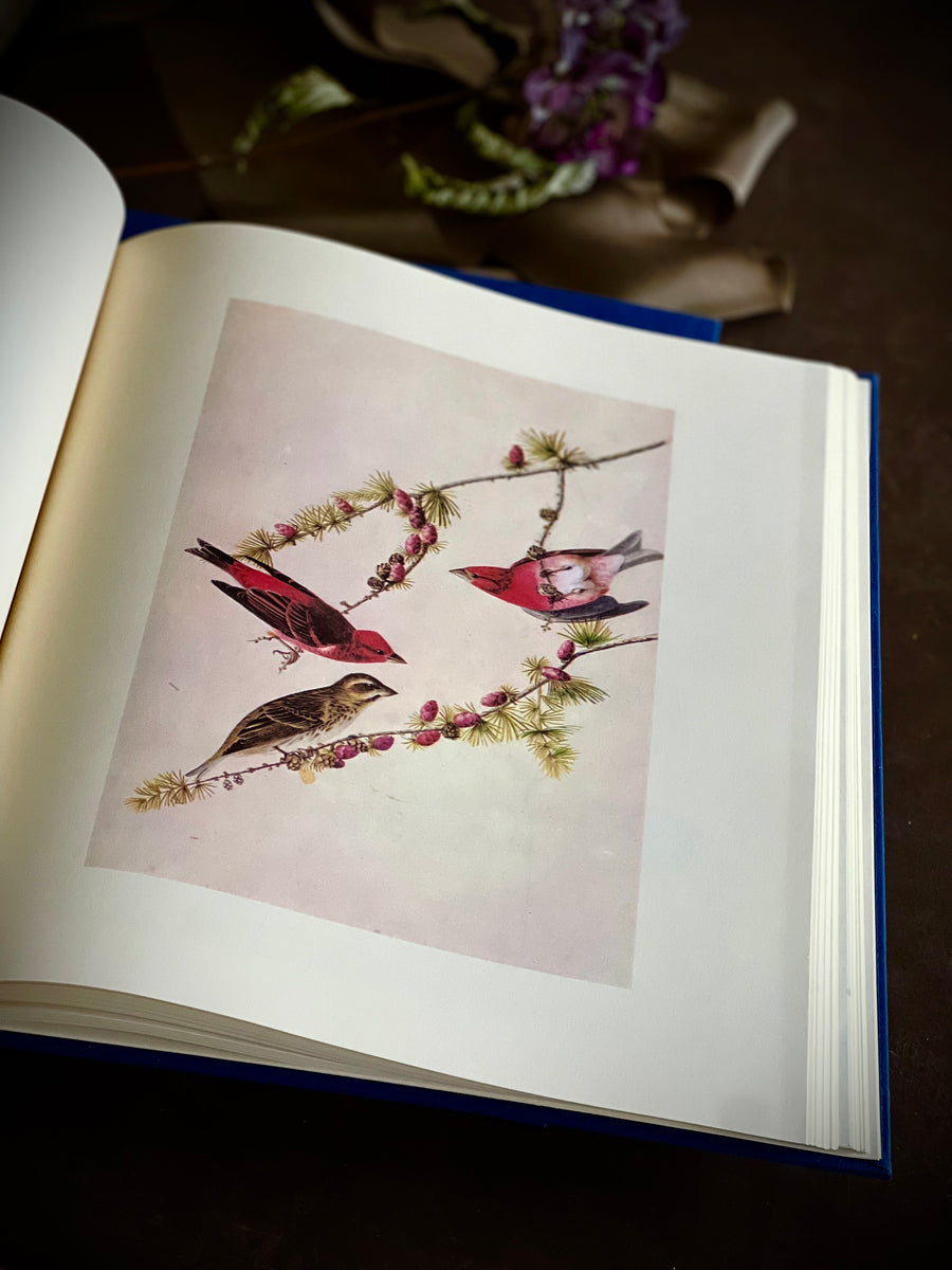 1966 - The Original Water Color Paintings By John James Audubon for The Birds Of America