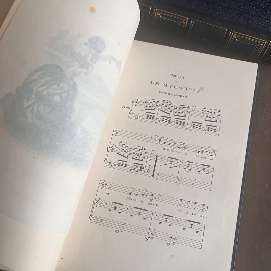 1867 Les Fleurs Animées – Grandville’s Botanical Anthropomorphism Masterpiece l 2-Volumes