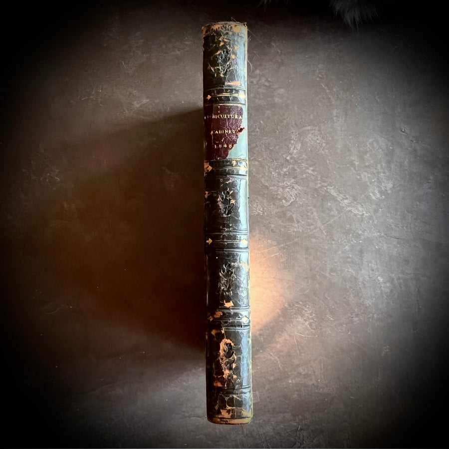 Floricultural Cabinet Book and Florist’s Magazine (1848) | With Hand-Colored Plates