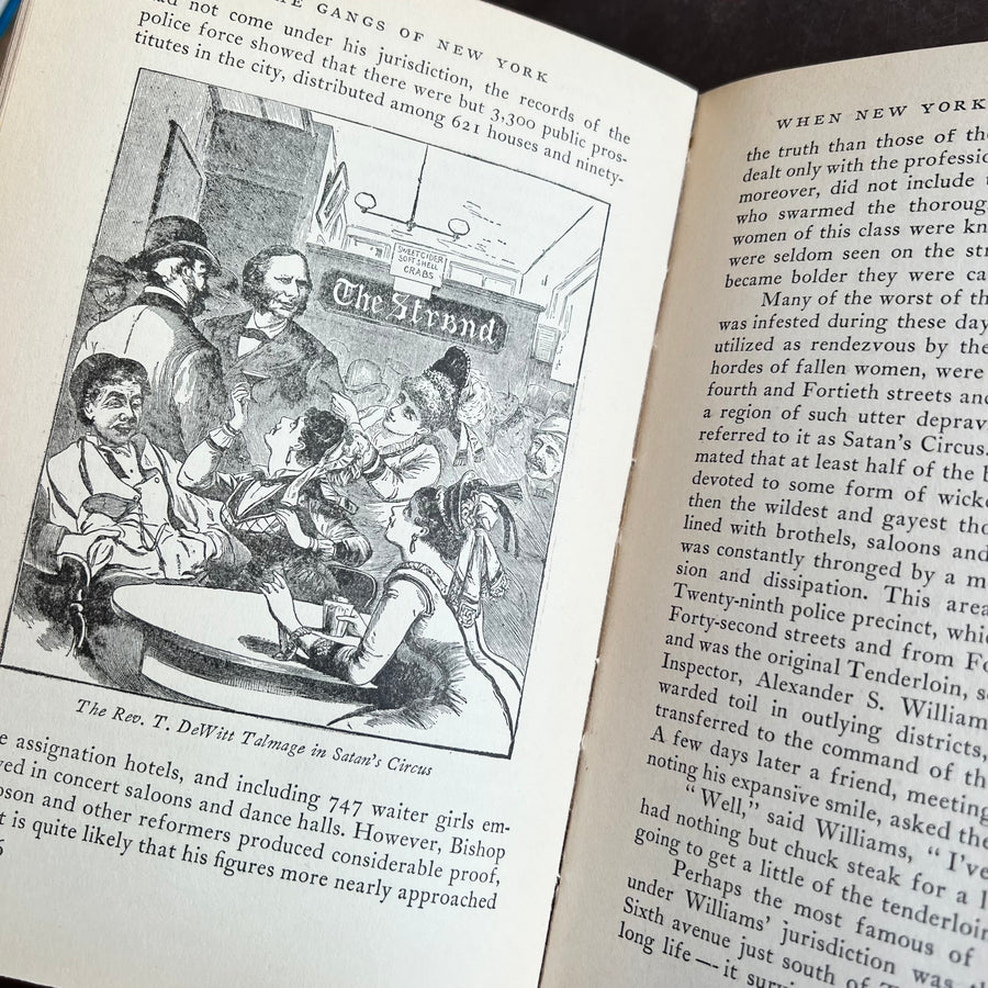 1928 - The Gangs of New York; An Informal History of the Underworld