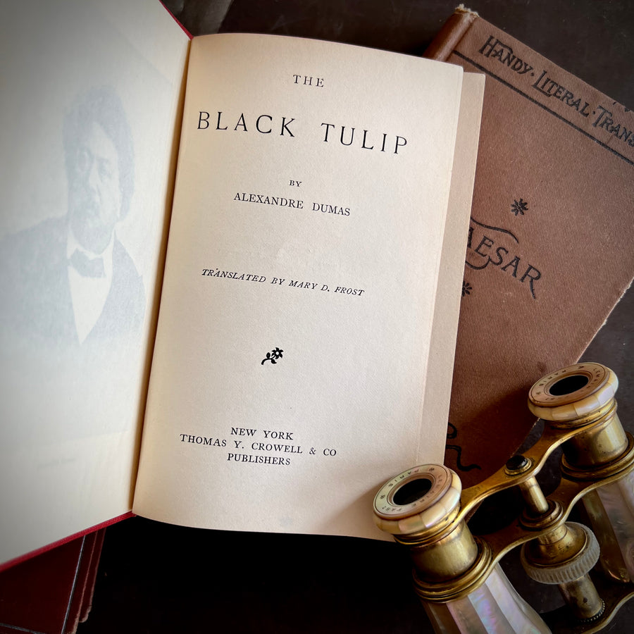 Antique Book Bundle, Pocket-Size Books: Includes The House of Seven Gables, The Black Tulip, & Caesar