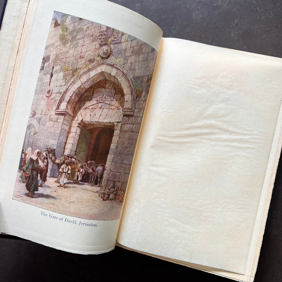 1908 - Out-Of-Doors In The Holy Land, First Edition