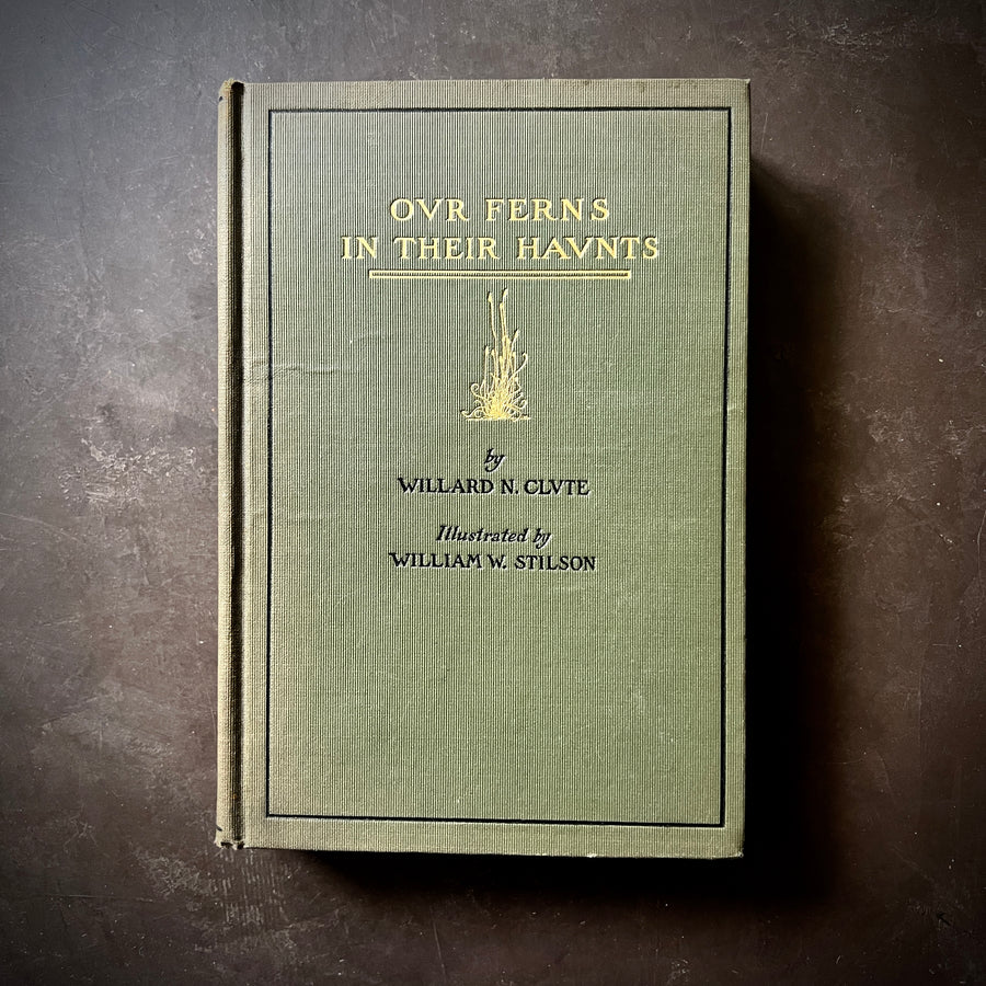 1901 - Our Ferns In Their Haunts; A Guide To All Native Species
