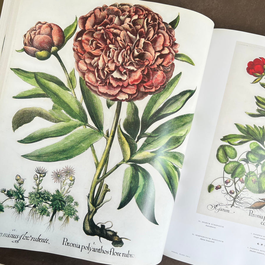 Botanical Pattern Book 2007 - The Book of Botanical Prints; The Complete Plates – Honey Bee Mill