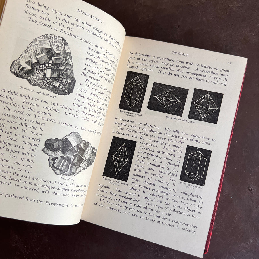 1899 - Wonders of Rocks, Plants and Animals; Being A Popular Account of the Earth and Its History, Minerals and Fossils, And of the Classes Of Animals and Plants, Their Structure and Mode of Life.