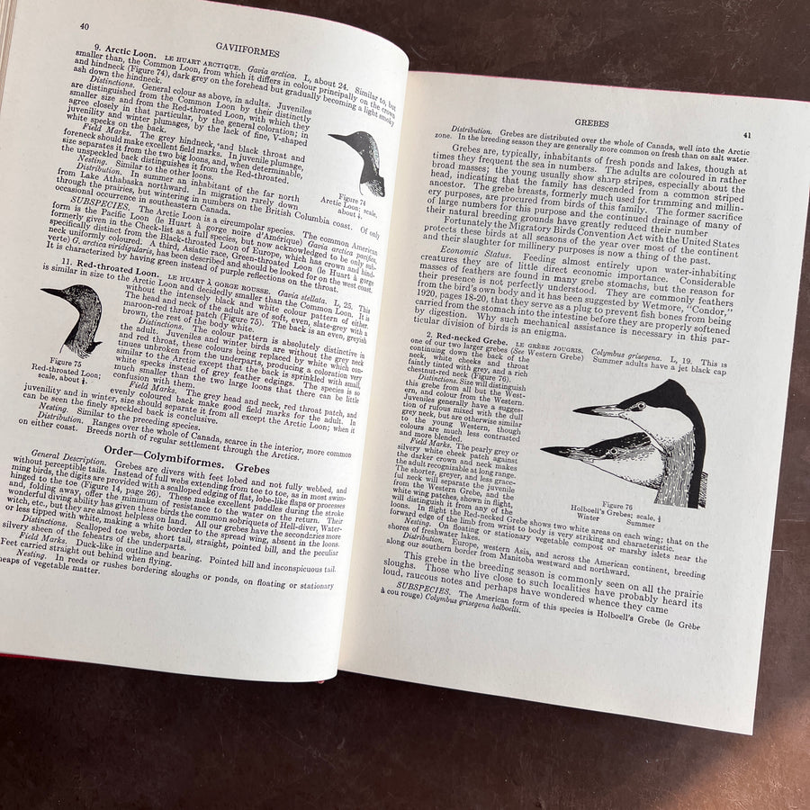 Birds of Canada by P.A. Taverner (1949 Revised Edition)