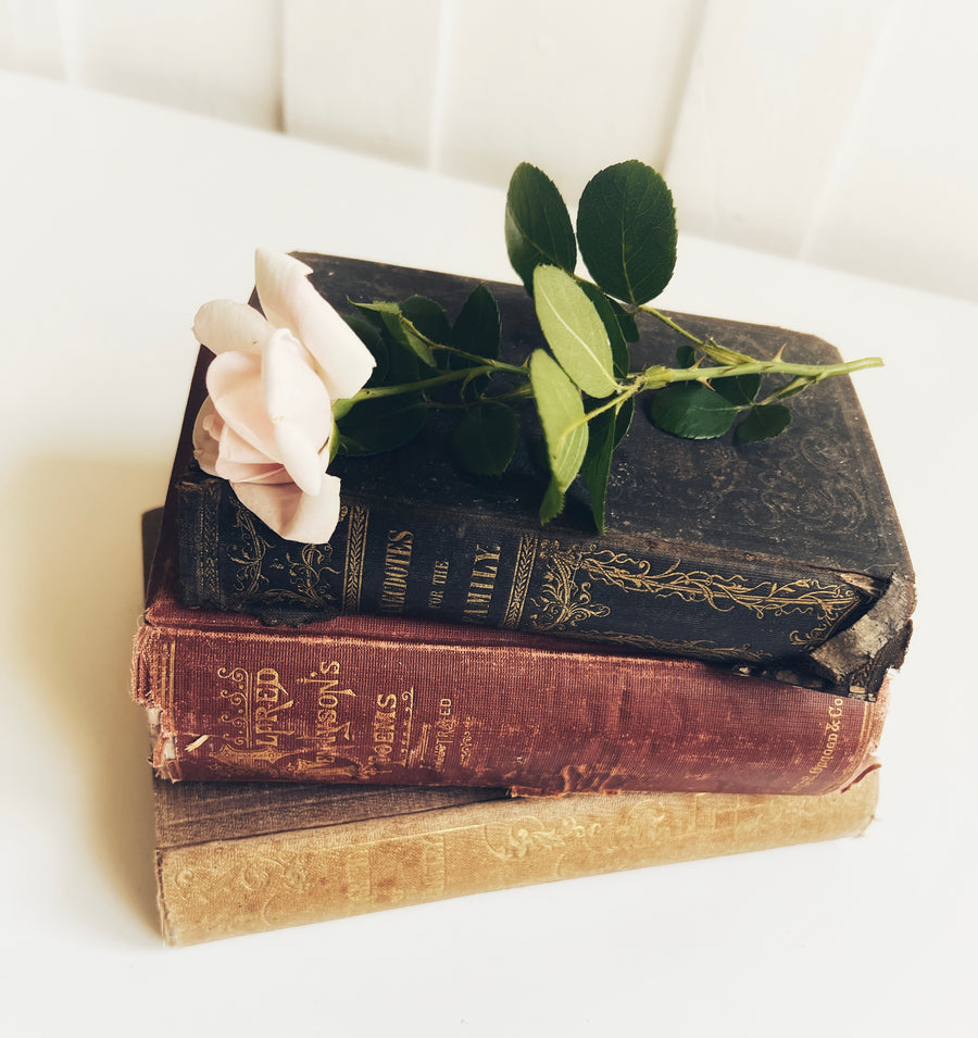 Antique Book Bundle | Distressed Decorative Books with Gilt Detail
