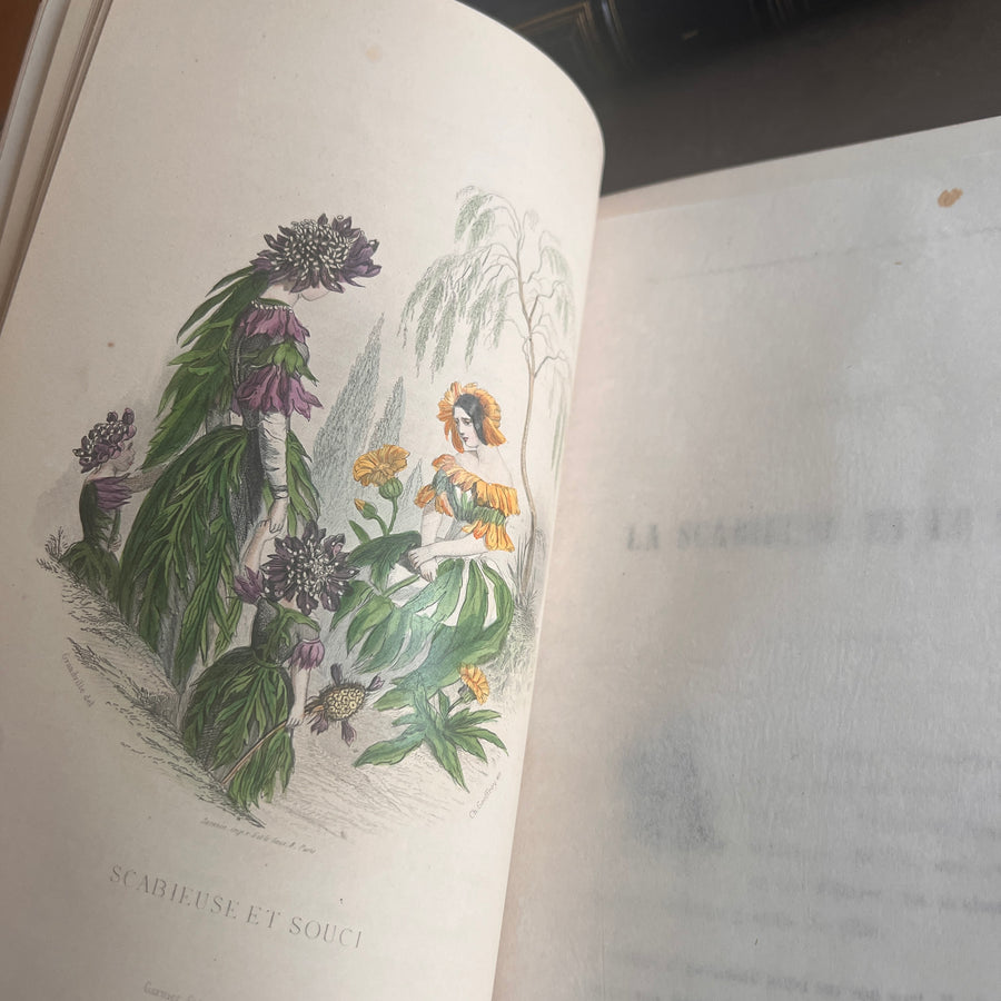1867 Les Fleurs Animées – Grandville’s Botanical Anthropomorphism Masterpiece l 2-Volumes