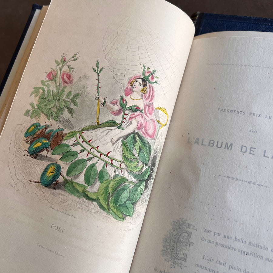 1867 Les Fleurs Animées – Grandville’s Botanical Anthropomorphism Masterpiece l 2-Volumes
