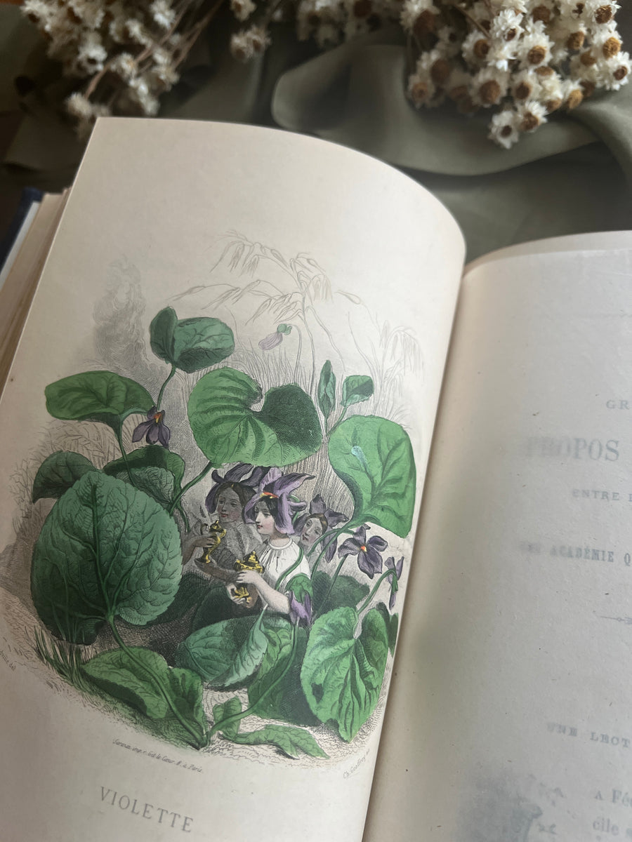 1867 Les Fleurs Animées – Grandville’s Botanical Anthropomorphism Masterpiece l 2-Volumes